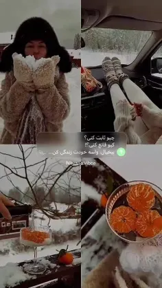 فالو کنی فالو میشی 