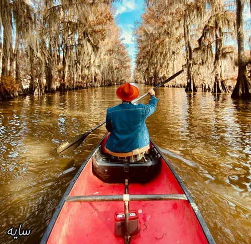 خوشبختے به چقدر