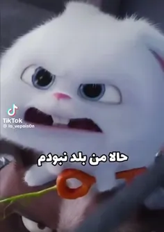 چقدر من 🤣