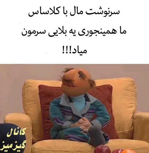 راست می گه