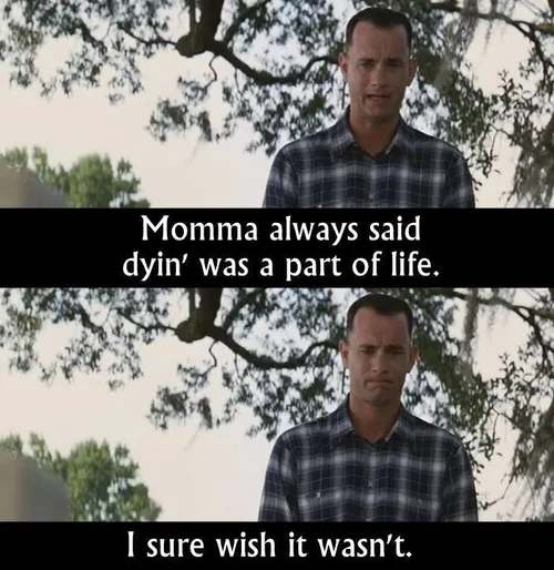 مادرم همیشه بهم می گفت مرگ بخشی از زندگی ست ، آرزو می کرد