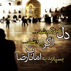 یا امام رضا (ع )ضامن من باش