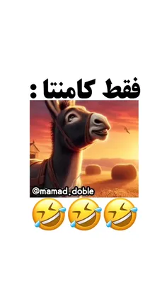 جرر🤣🤣