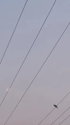 در مسلک ما معنی پرواز چنین است