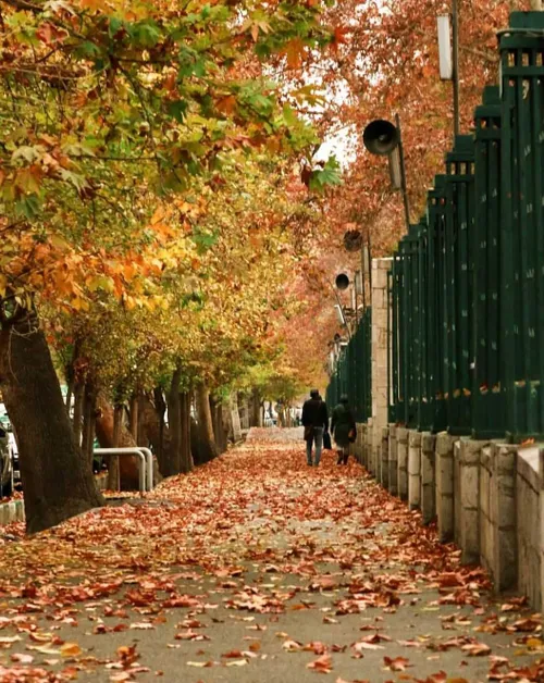 جایی در کوچه و خیابان