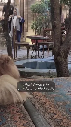 تربیت درست یعنی این👏🙃