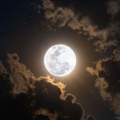 ماه شب تارمی:)♥️