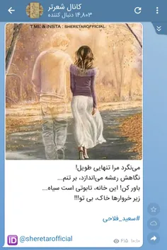 سعید فلاحی