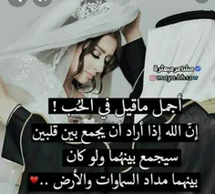 عاشقانه ها ali9505 27896636