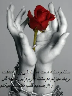 عاشقانه ها alooreza 8802410