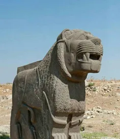 🔸 مجسمه غول پیکر یک شیر در محوطه باستانی عین داره در شمال