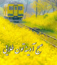 شعر و ادبیات parisa 22981682