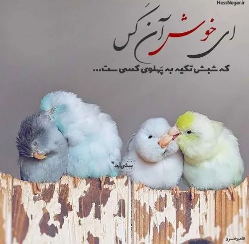 ازدواج hoddamohamadizade 24123813 - عکس ویسگون