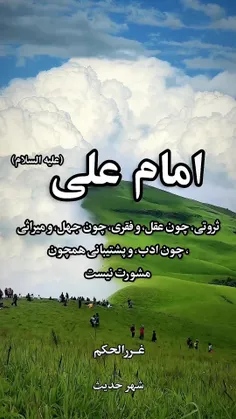 امام علی علیه السلام 