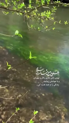 جاری باش مثل آب...🌱