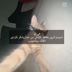 شبم بخیر🥱😴