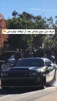 صدای شکستن دل داج باز ها کل دنیا رو برداشت💔