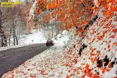 💠  تلفیقی از پاییز و زمستان در جاده اسالم