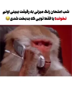 تا قیامت حق😂