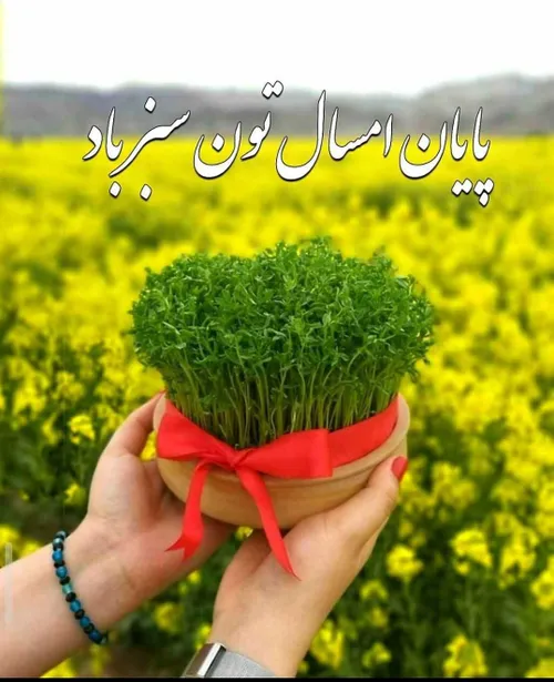 ‍ به روزهای پایانی سال 98 رسیدیم🌸🍃