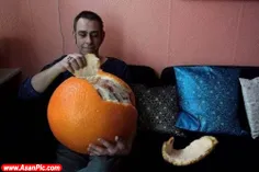 عجب پرتقالی هست....
