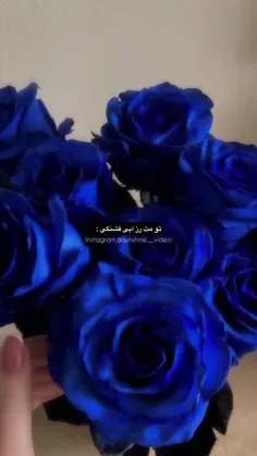 تو مثل گل رز آبی قشنگی....E