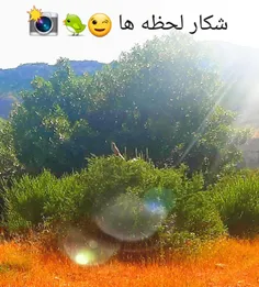 نمیدونم اسم پرنده چیه ولی صداش قشنگ بود 😊