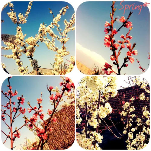 ... Spring Is Coming