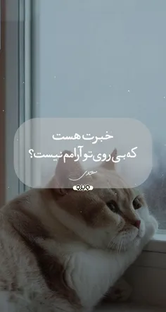 #عکس_نوشته !