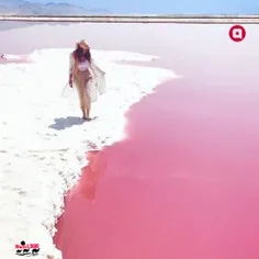 دریاچه مهارلو یا دریاچه نمک به رنگ صورتی و رمانتیک 