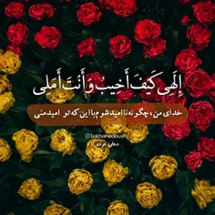 #لبیک_یامهدی #ظهور_نزدیک_است #لبیک_یا_مهدی #لبیک_یاحسین #