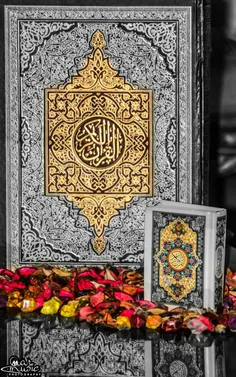 ماه مبارک رمضان بهترین فرصت برای انس با قرآن است