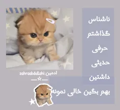 لینک این زیره👇🏻