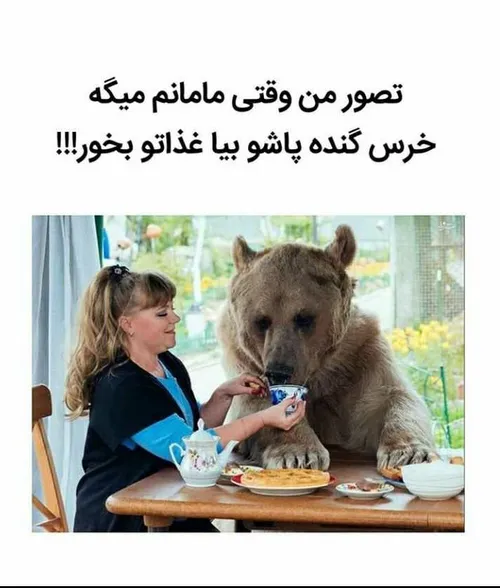 خرس گنده