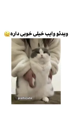 فقط شیکمش😂🌝