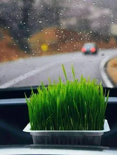 🌱و من گره خواهم زد