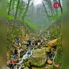 آبشار زیبای آب پری _ پارک جنگلی رویان مازندران