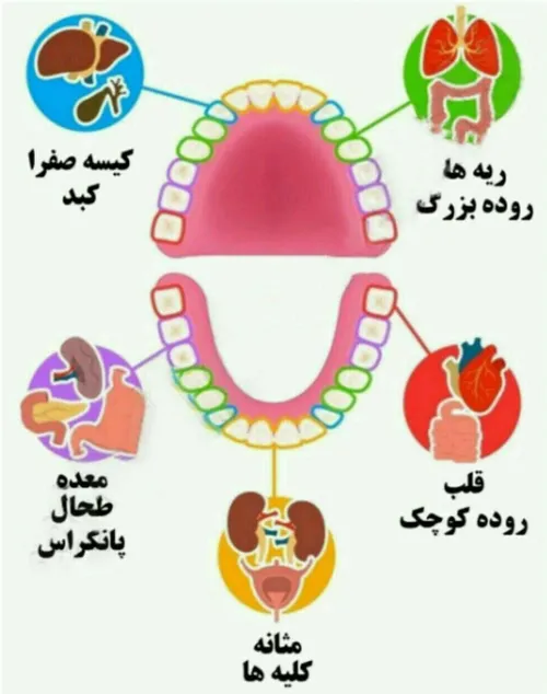 درد هر دندان و پوسیدگیِ بی علت آن علامتی است برای مشکلات 