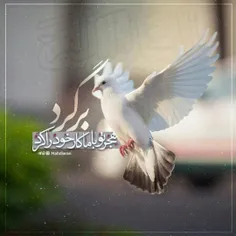 🦋مضي الزمان