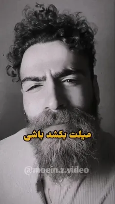 بودی 