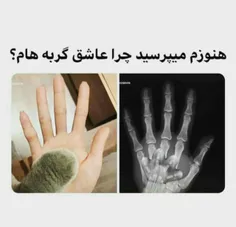 گوووربباااااااااااا😍 