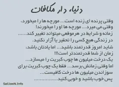 گوناگون rezakazemy 198082