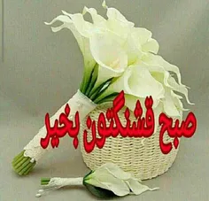 سلاااام صبحتون بخیر