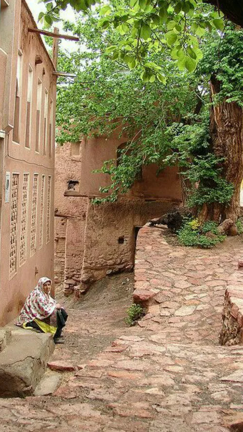 اَبیانه روستایی از توابع بخش مرکزی شهرستان نطنز در استان 