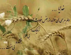 گوناگون afshari 530186