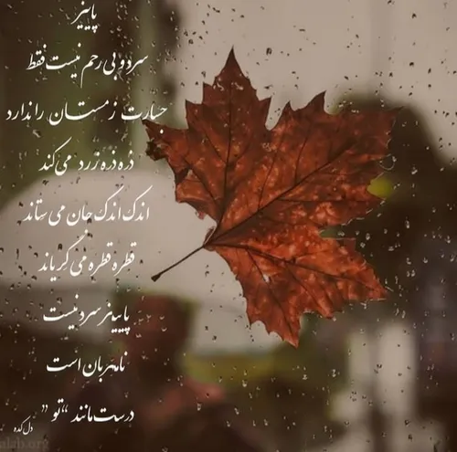 عکس نوشته