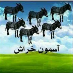 ﺭاﺳﺖ ﮔﻔﺘﻪ?!