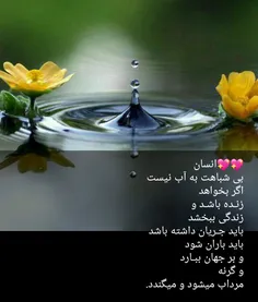 مذهبی starh00 28374101