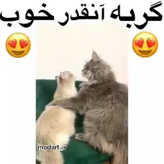 چ احساسین😻😅💖