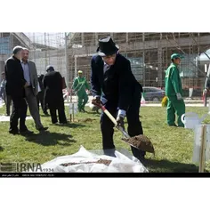 درختکاری سفرای خارجی مقیم تهران